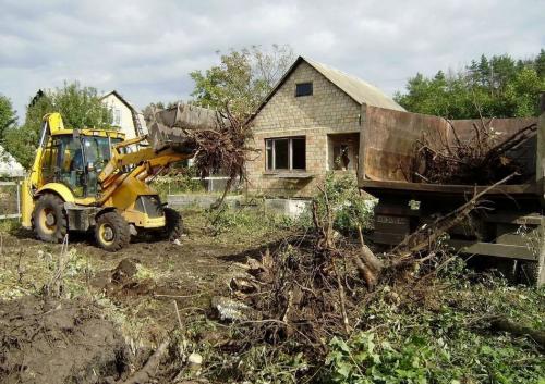 Плодовый сад и питомник: полезные советы для начинающих 04