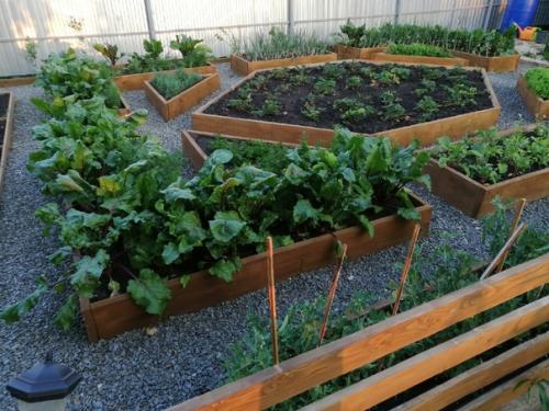 Вот такую красоту на огороде навели. 01