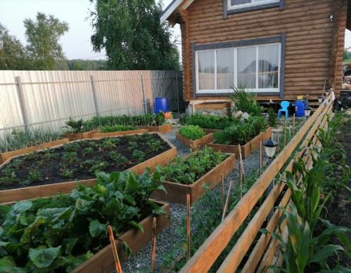 Вот такую красоту на огороде навели. 05