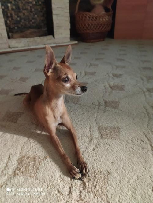 Построил дачный дом своими руками, только крышу строили нанятые рабочие. 06