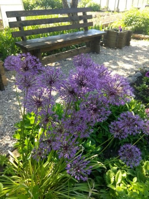 Автор: Екатерина Антонова. 01