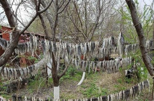 Где этa улица?  