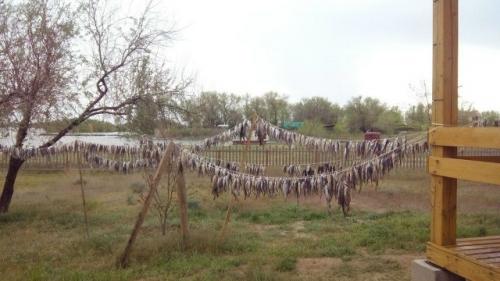 Где этa улица? 02