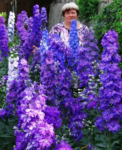 Автор: Татьяна диденкоморгунова. 03