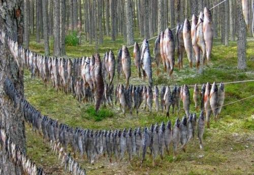 Где этa улица? 01