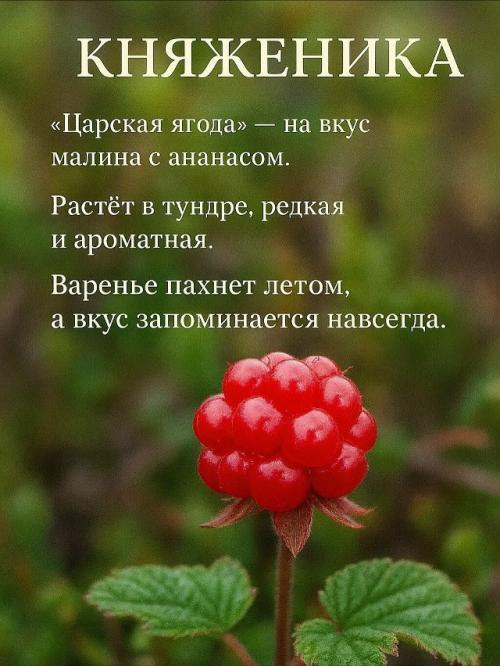 Малоизвестные сокровища ягодного царства. 02