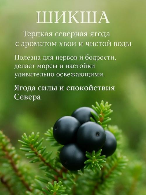 Малоизвестные сокровища ягодного царства. 03