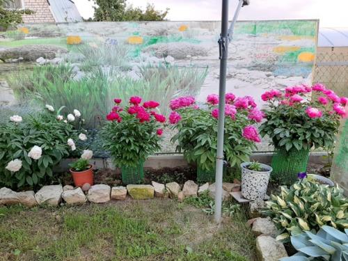 Автор: Тамара Русакова. 03