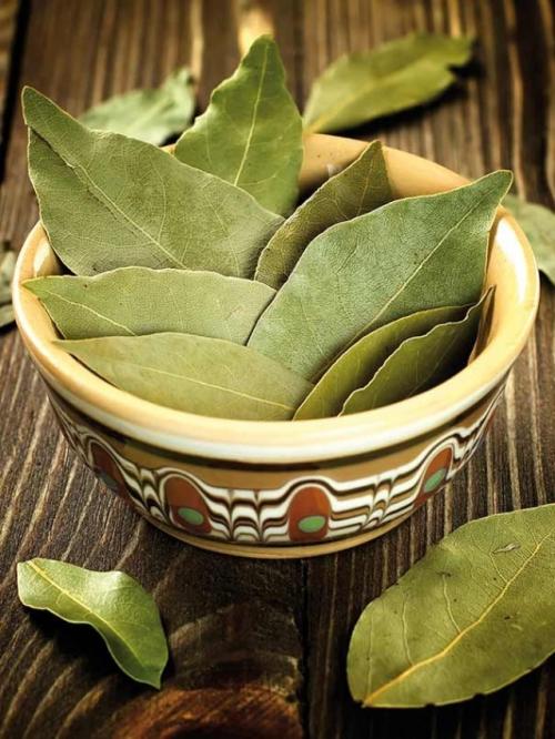 Этот лист - невероятно мощное средство от высокого давления, сахара в крови, кашля, отёков и лишнего веса! 
