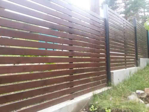 Автор: Афанасий Борщев. 01