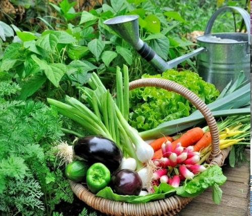 Садовые секреты и подсказки.
