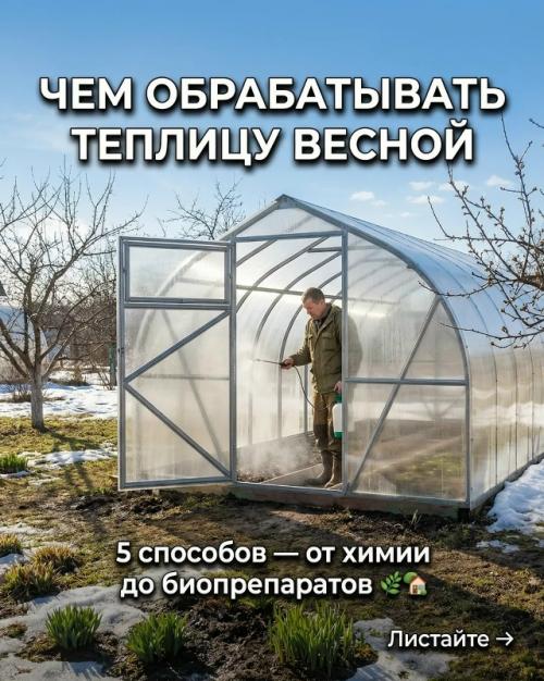 Весенняя подготовка теплицы: 5 надежных методов для защиты вашего урожая.
