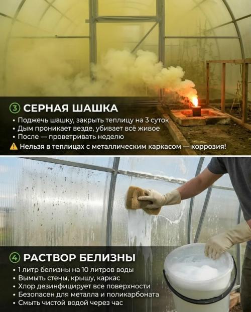 Весенняя подготовка теплицы: 5 надежных методов для защиты вашего урожая. 02 Весенняя подготовка теплицы: 5 надежных методов для защиты вашего урожая. 02