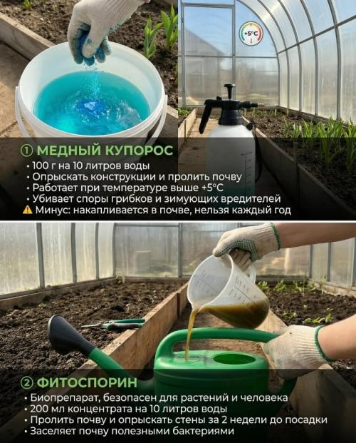 Весенняя подготовка теплицы: 5 надежных методов для защиты вашего урожая. 01 Весенняя подготовка теплицы: 5 надежных методов для защиты вашего урожая. 01