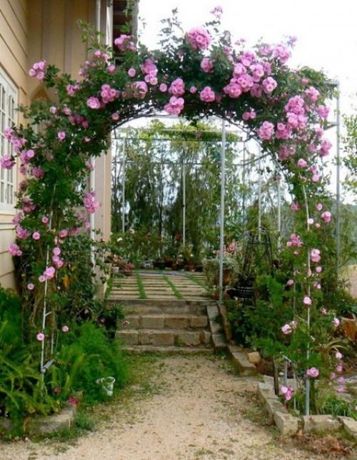 Арка с плетистыми розами. 04