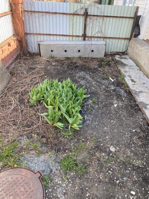 Здравствуйте, помогите советом! 02