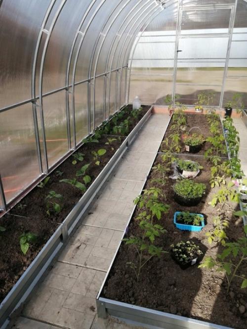 Автор: Сергей Золотарев. 03