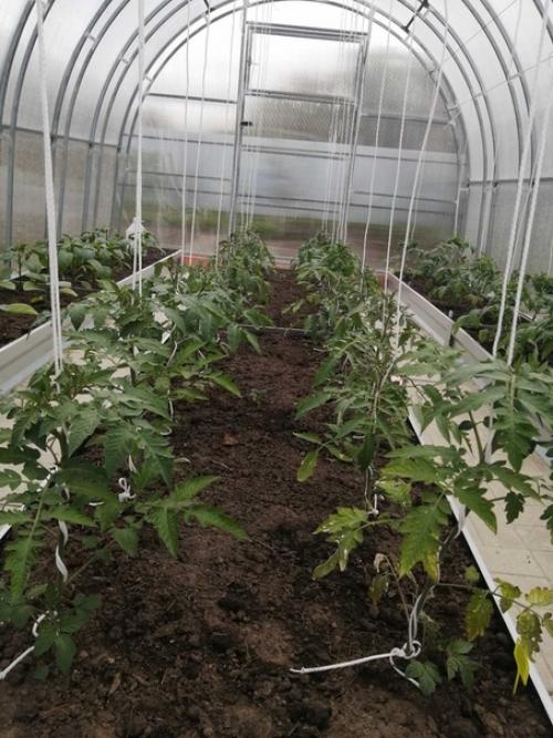 Автор: Сергей Золотарев. 01