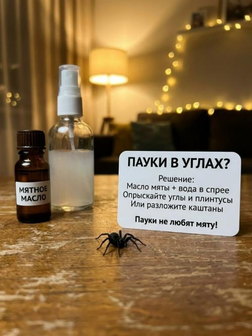 Объявите войну насекомым на вашей даче! 07 Объявите войну насекомым на вашей даче! 07