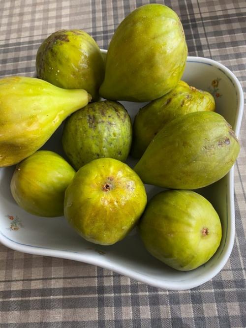 В июле в Абхазии созревает белый сорт инжира, а уже в августе поспеет и классический тёмный. 03