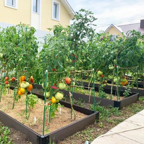 Террасная доска из ДПК. 02