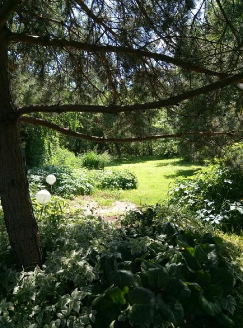 Наша дача граничит с лесом, и всё, что он дарит, бережно мы растим! 08