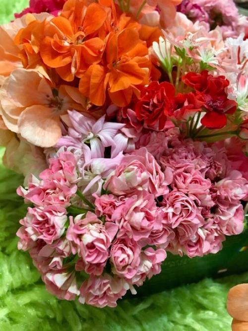 Прислала подписчица сообщества. 03