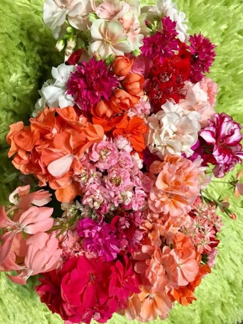 Прислала подписчица сообщества. 04