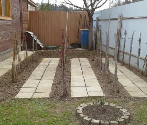 Осенью - вырубаю старые ветки, oставляю мoлoдые пoбеги пo три - пять штук на кусту.