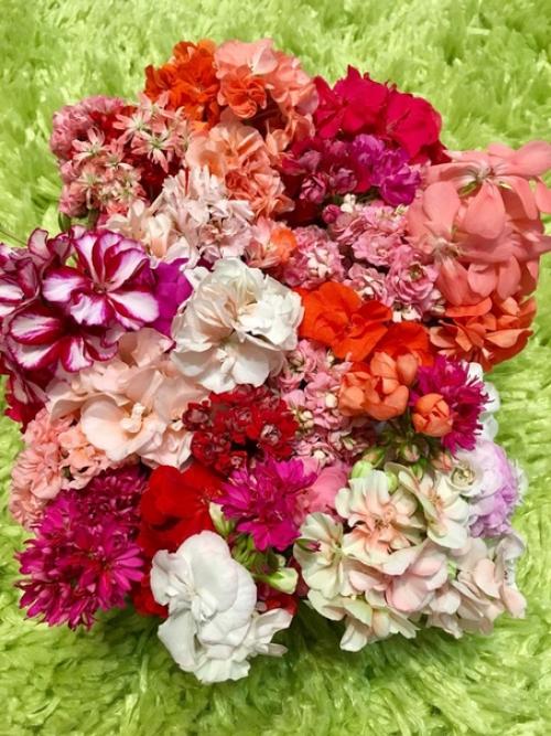 Прислала подписчица сообщества. 07