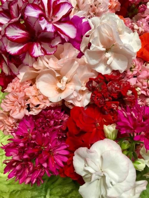 Прислала подписчица сообщества. 06