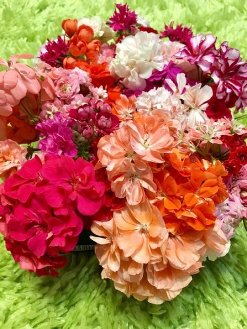 Прислала подписчица сообщества. 08