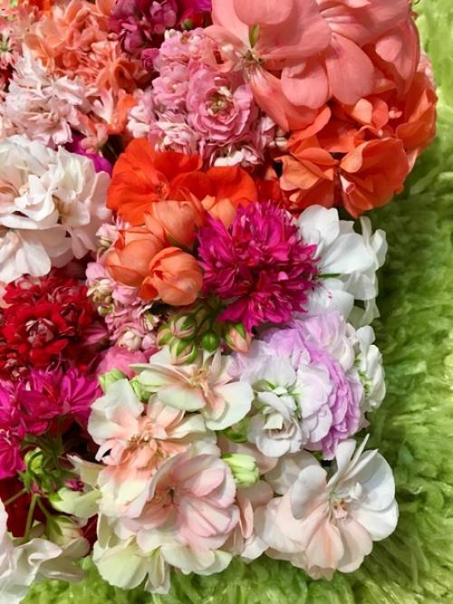 Прислала подписчица сообщества. 02