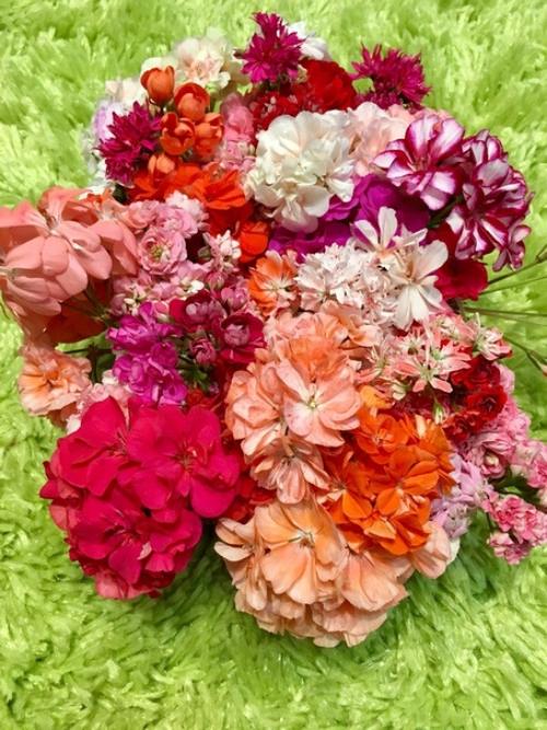 Прислала подписчица сообщества. 09