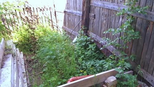 В свой дом мы заехали еще в январе 2020 года, и больше чем пол года жили без канализации.  