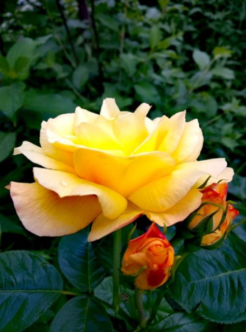 Автор: Наталья Бырдина (Беликова). 03