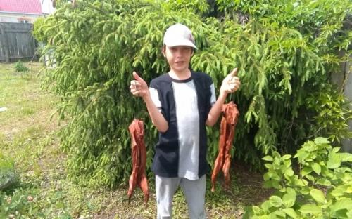 Сделали вот такую коптильню из подручных материалов. 02