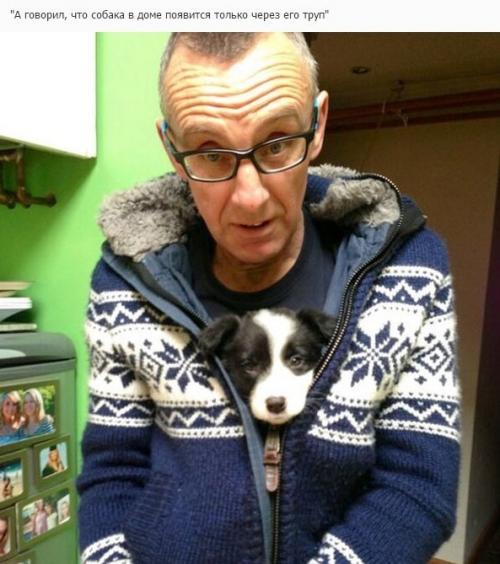 Отцы, которые говорили в моём доме не будет животных! 01