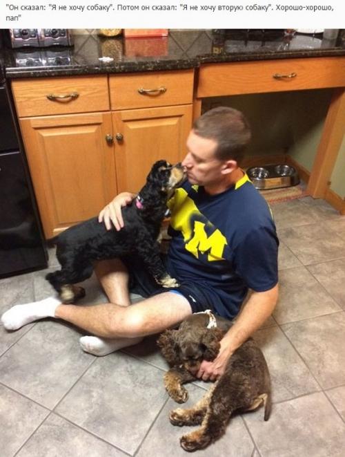 Отцы, которые говорили в моём доме не будет животных! 02