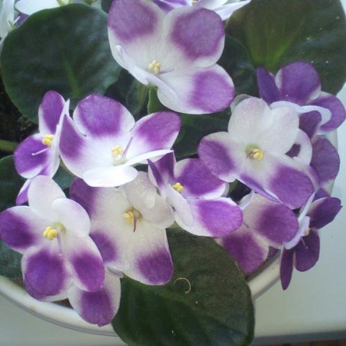 Прислала подписчица сообщества. 02