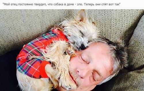 Отцы, которые говорили в моём доме не будет животных! 08