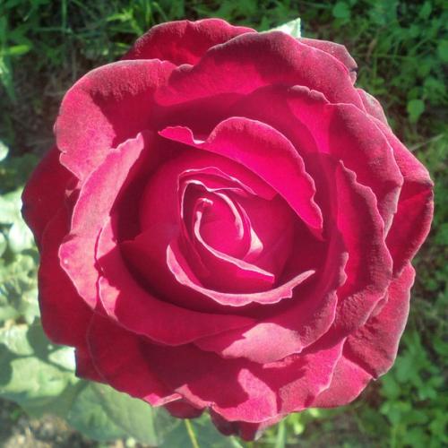 Прислала подписчица сообщества. 01