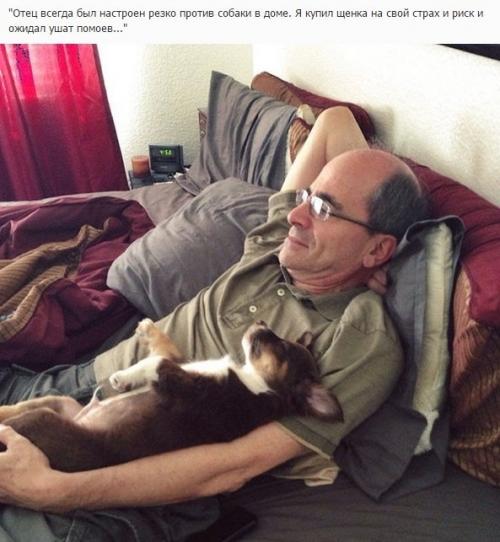 Отцы, которые говорили в моём доме не будет животных! 04