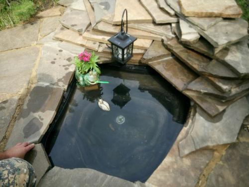 Прислал подписчик сообщества. 02