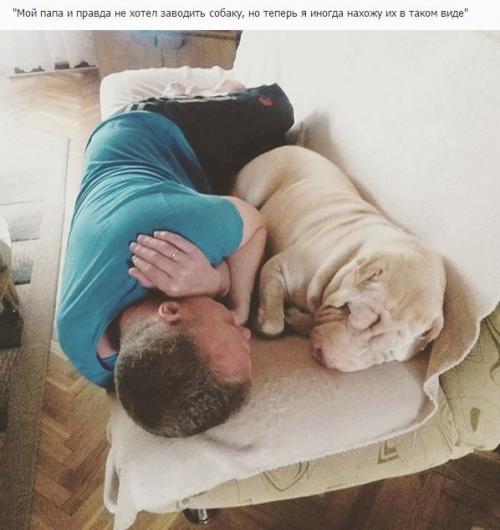 Отцы, которые говорили в моём доме не будет животных! 07