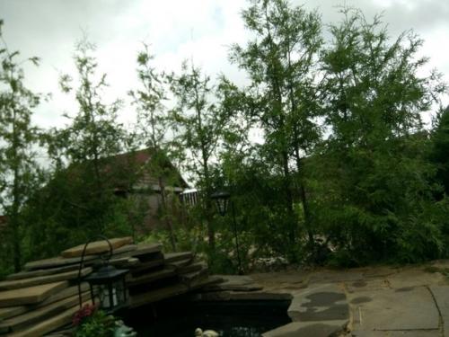 Прислал подписчик сообщества. 04