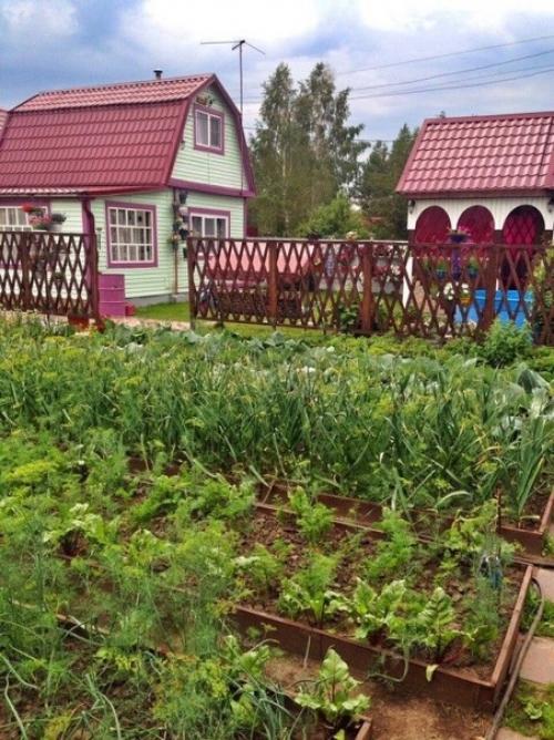 И вся эта красота на 4-х сотках. 08