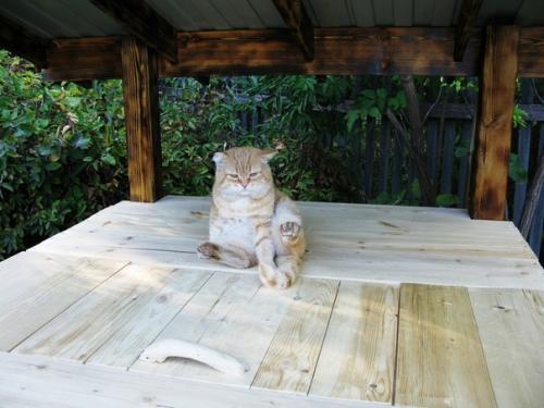 Автор: Иван Белов. 04