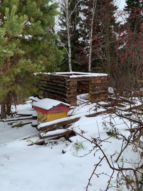 Здравствуйте необходимы креативные мысли и мнение.