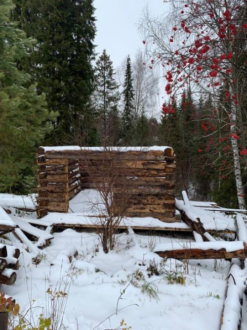 Здравствуйте необходимы креативные мысли и мнение. 01